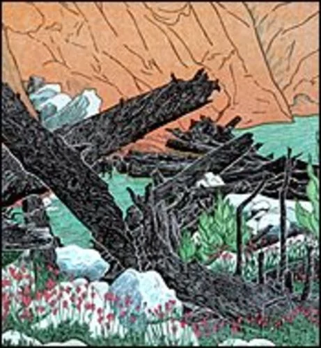 Sierra Log Jam