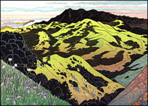 Mt. Tamalpais from Big Rock Ridge