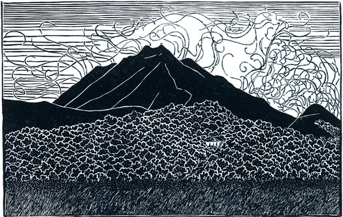 Mt. Tamalpais from the Old County Dump