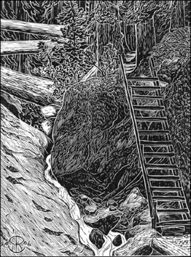 Steep Ravine Ladder