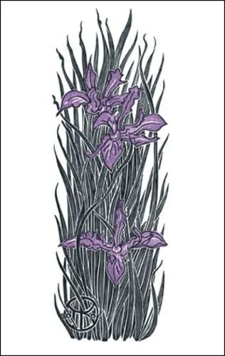 Wild Iris