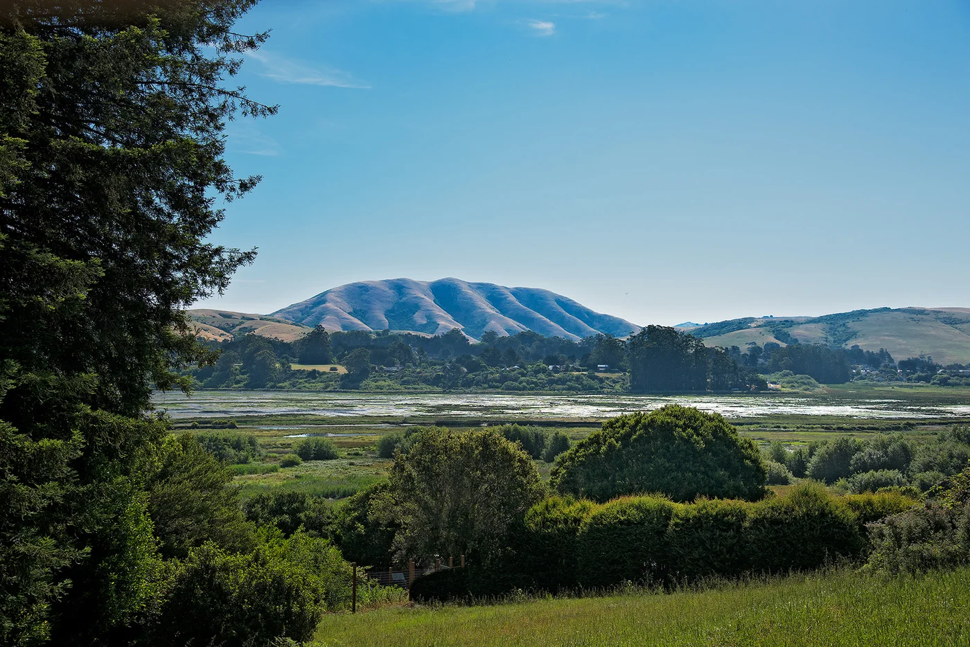 mauntain view.jpg