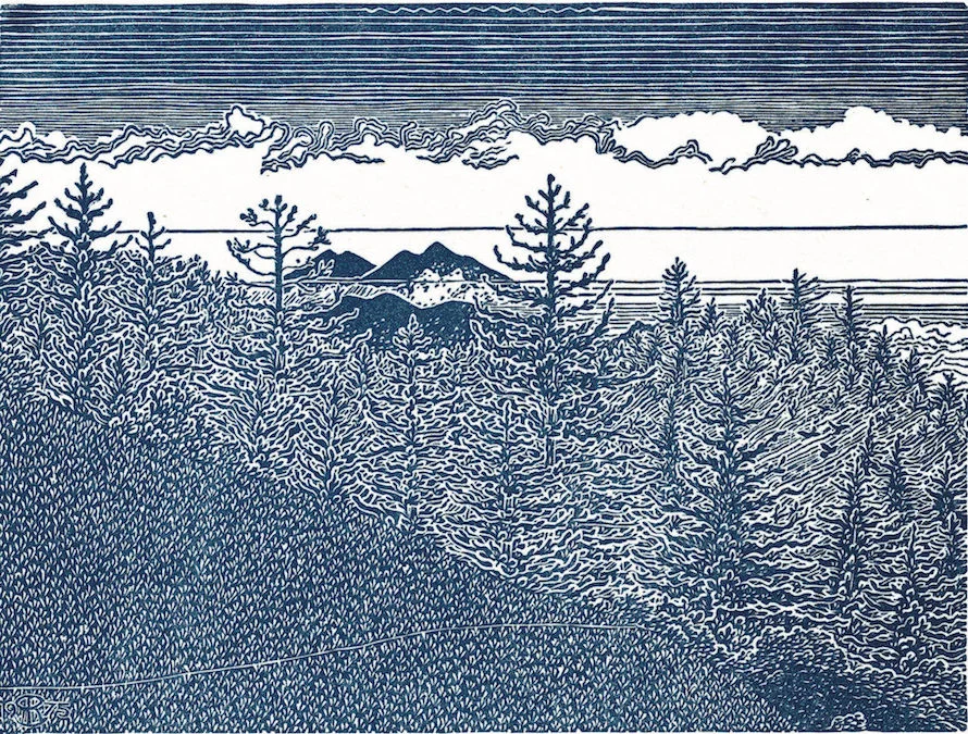 Matt Davis Trail.jpg