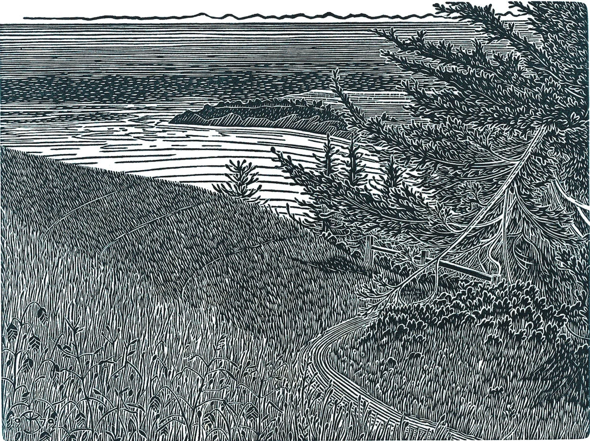 Dipsea Trail.jpg