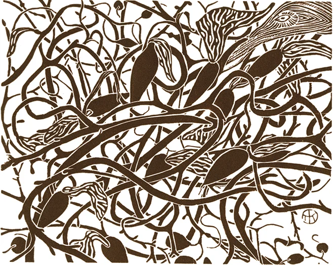 37 Seaweed.jpg