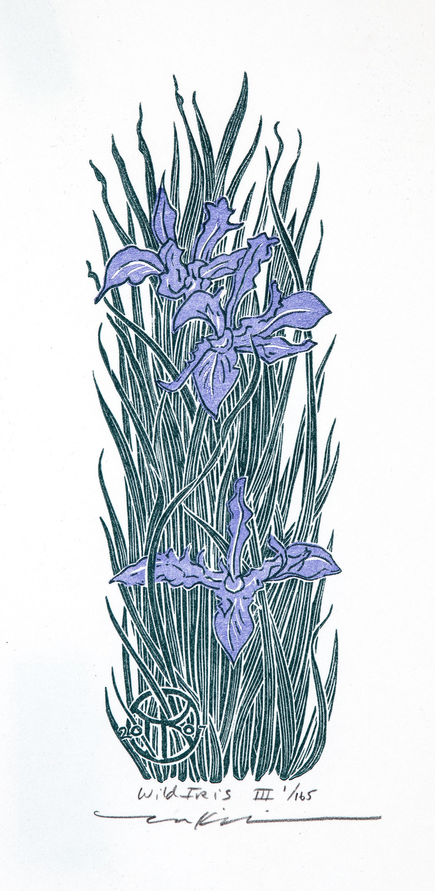 Wild Iris III