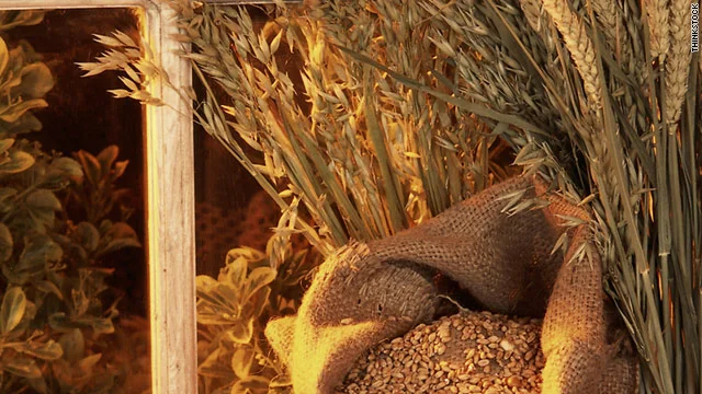 whole-grains.jpg