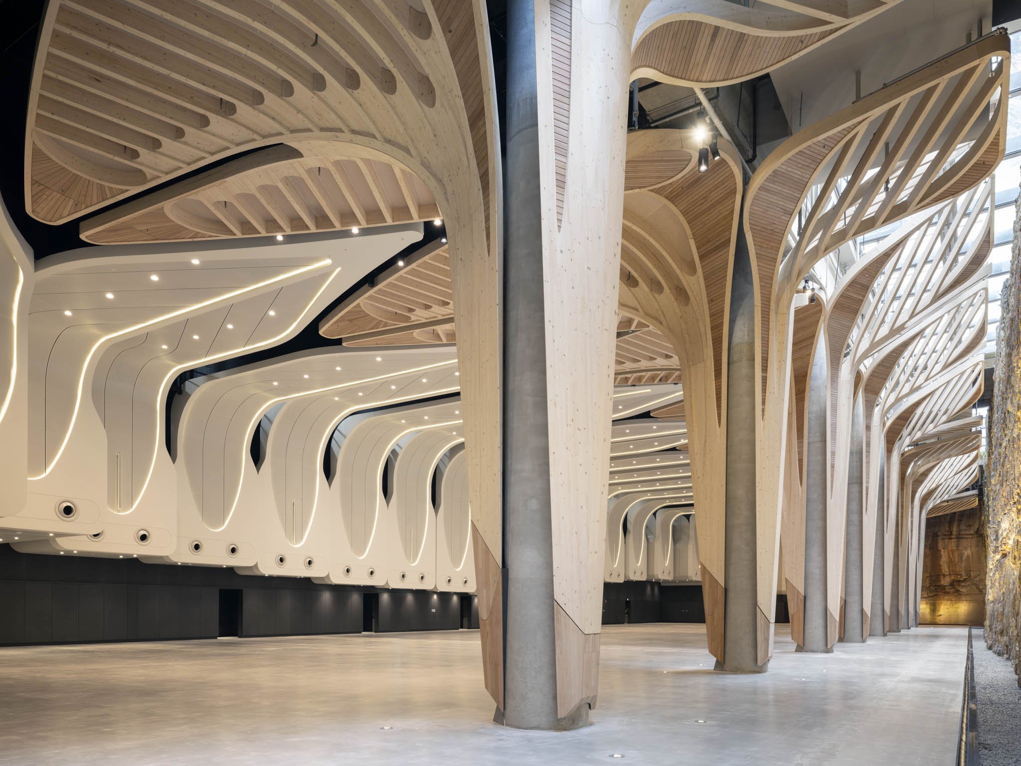 The Cutaway by FJC Studio