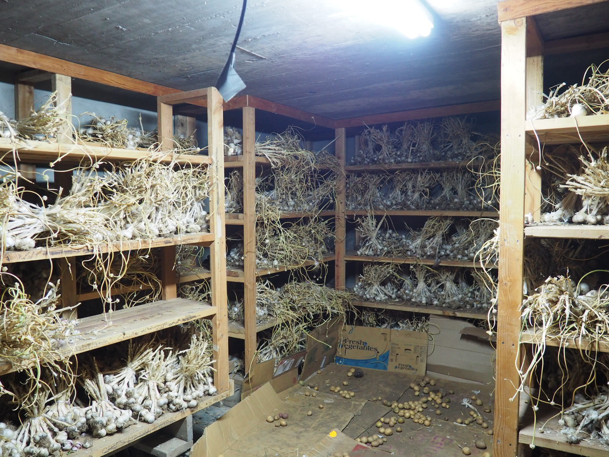 GARLIC ROOM. Photo by Jackie Bryant.
