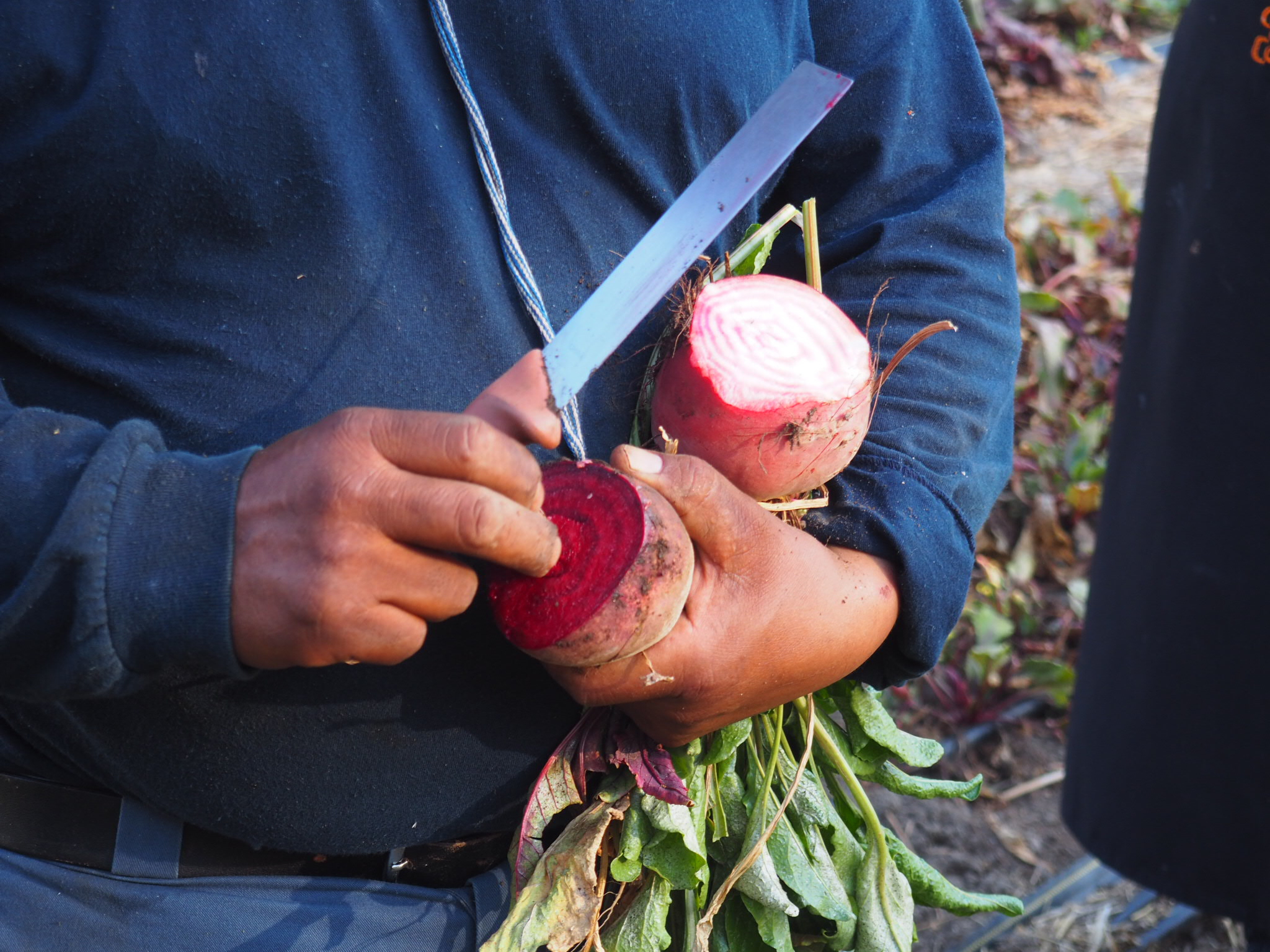 Salvador and some gorgeous beets. Photo by Jackie Bryant.