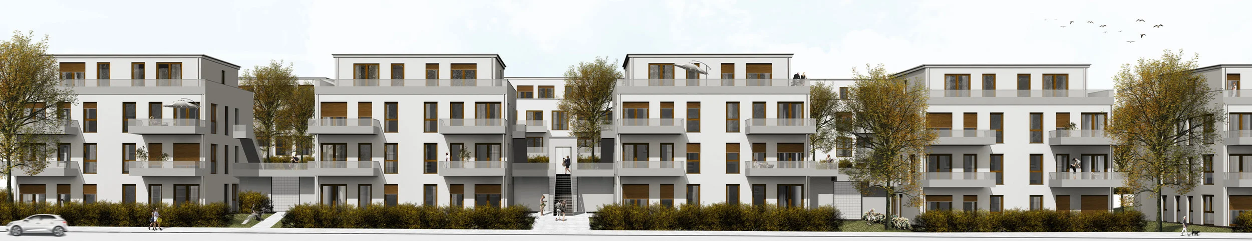 HAUS-1-4.jpg