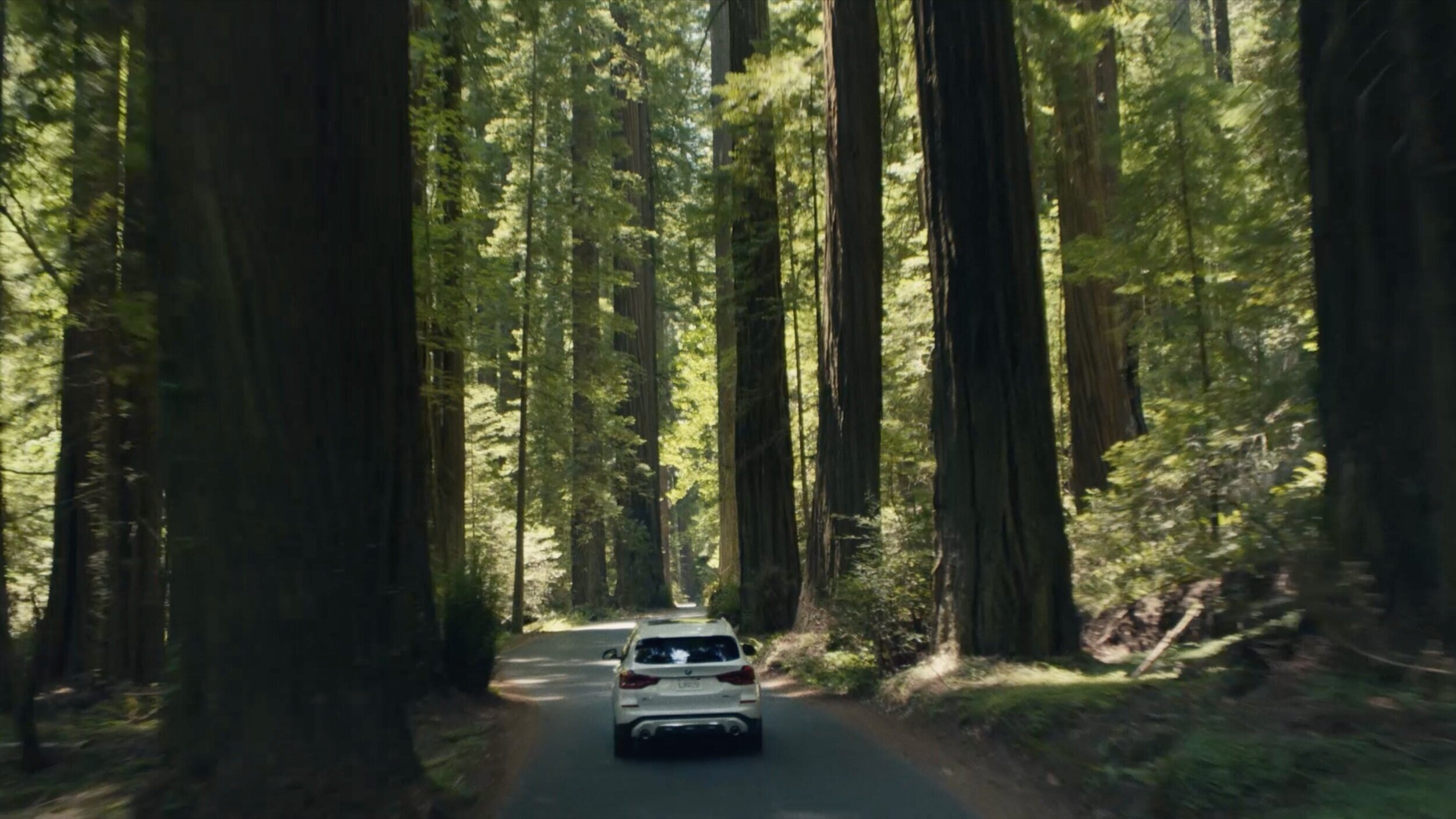 BMW CPO Roadtrip
