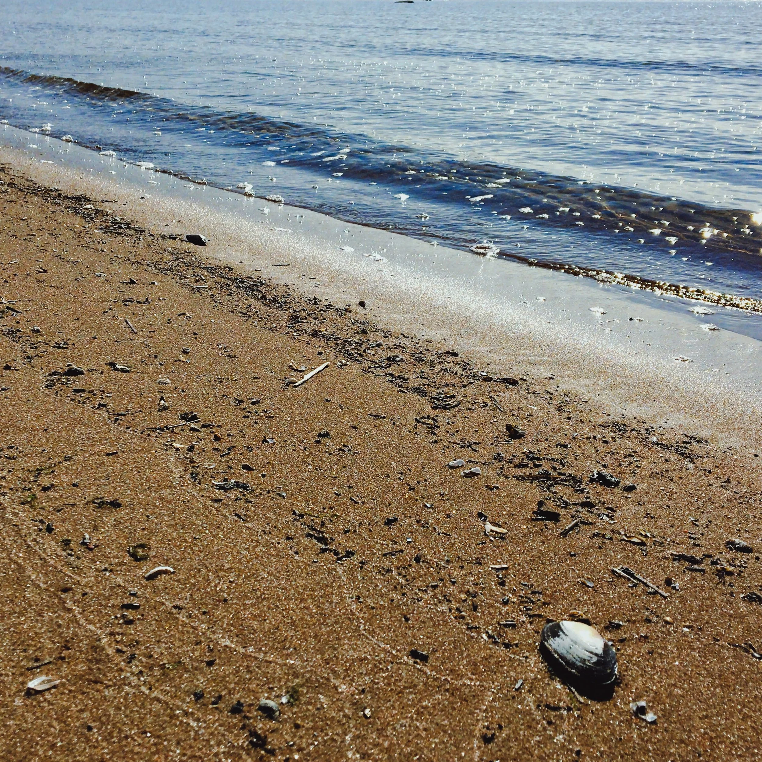 Афиша событий | 17-19 августа