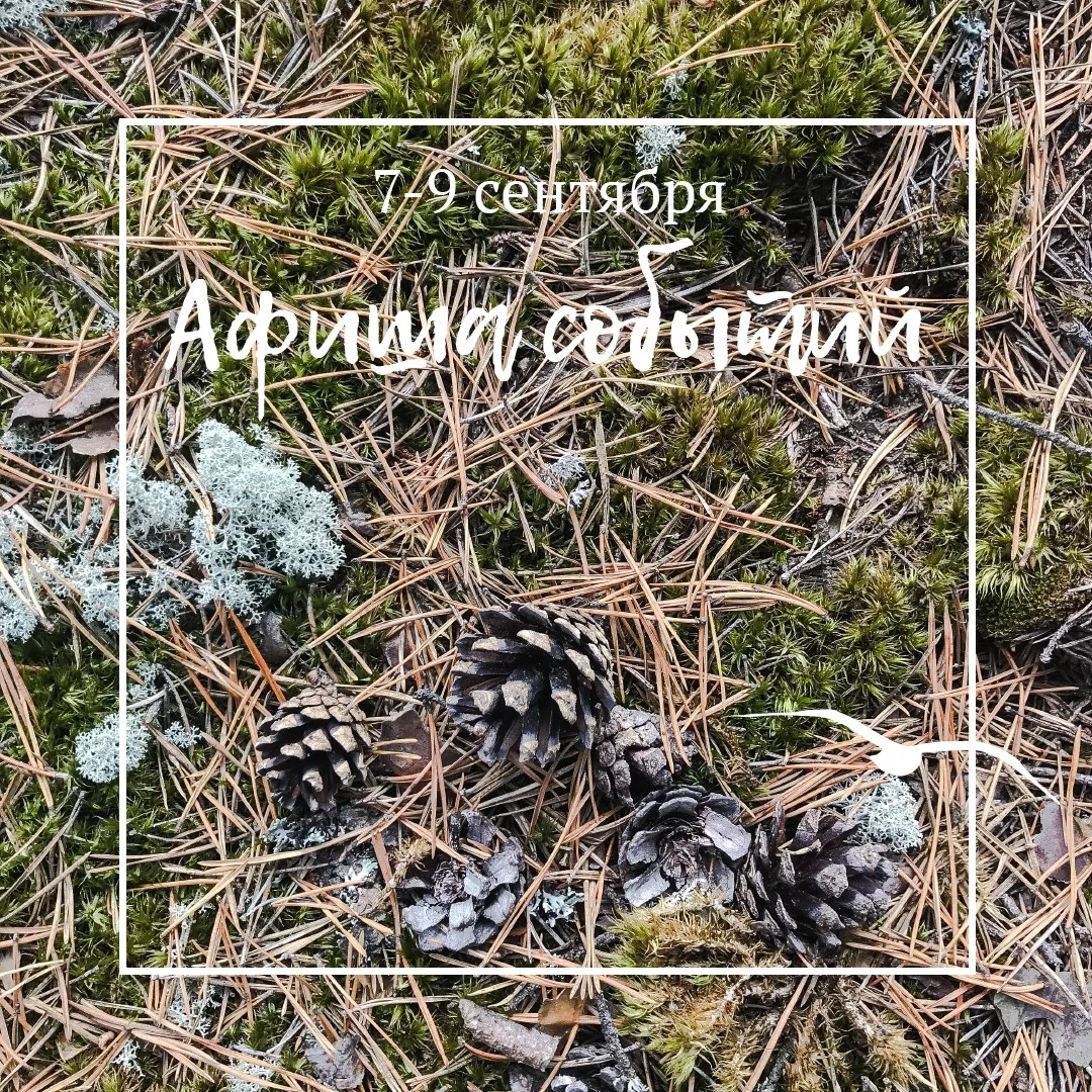 Афиша событий | 7-9 сентября