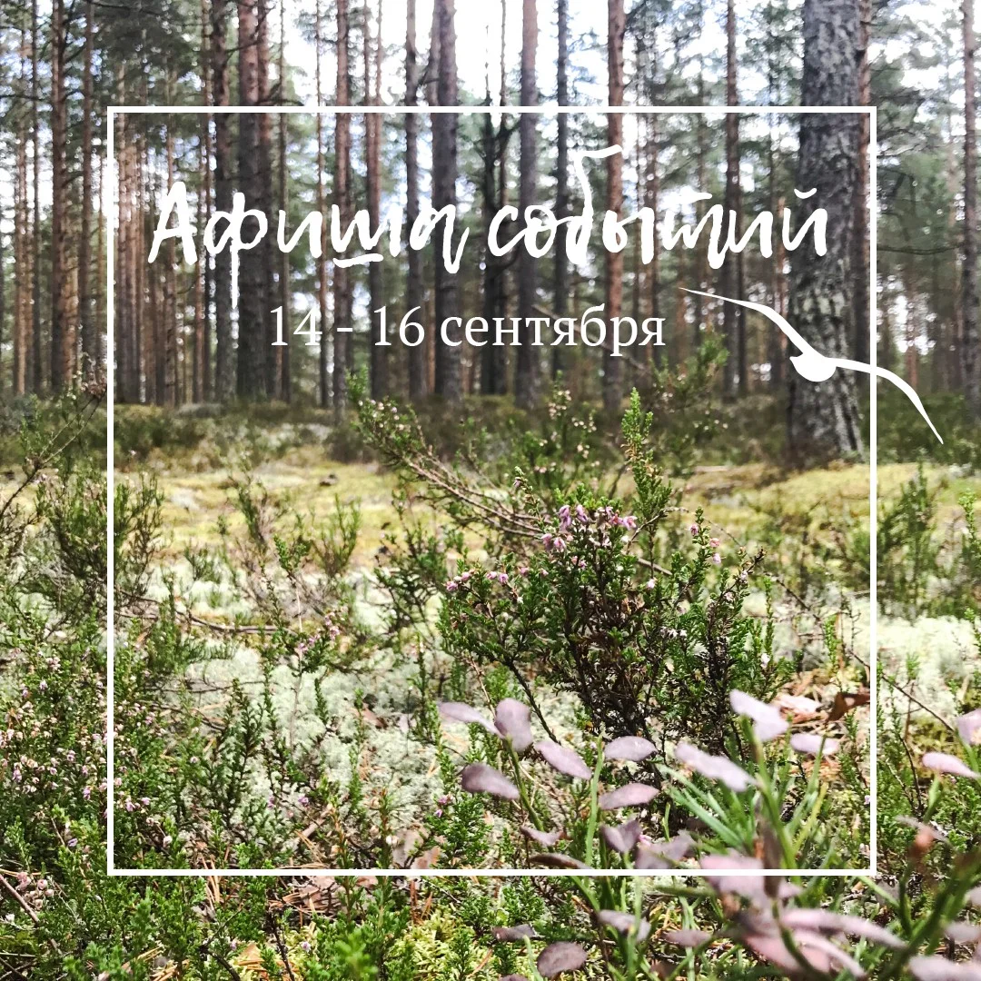 Афиша событий 14-16 сентября