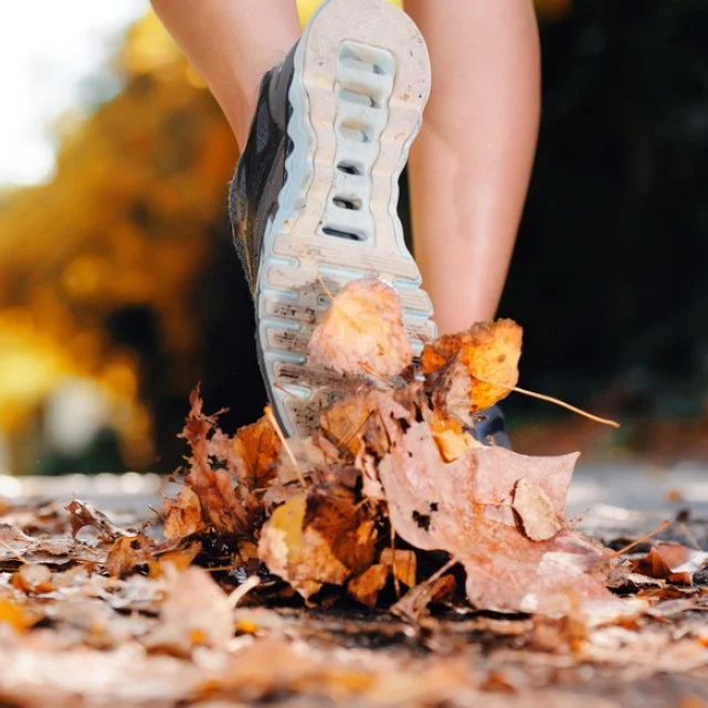 Афиша мероприятий | 29 октября 2018