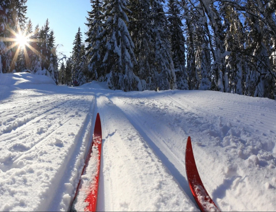 Афиша развлечений | 10 февраля