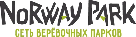 основное лого NP.jpg