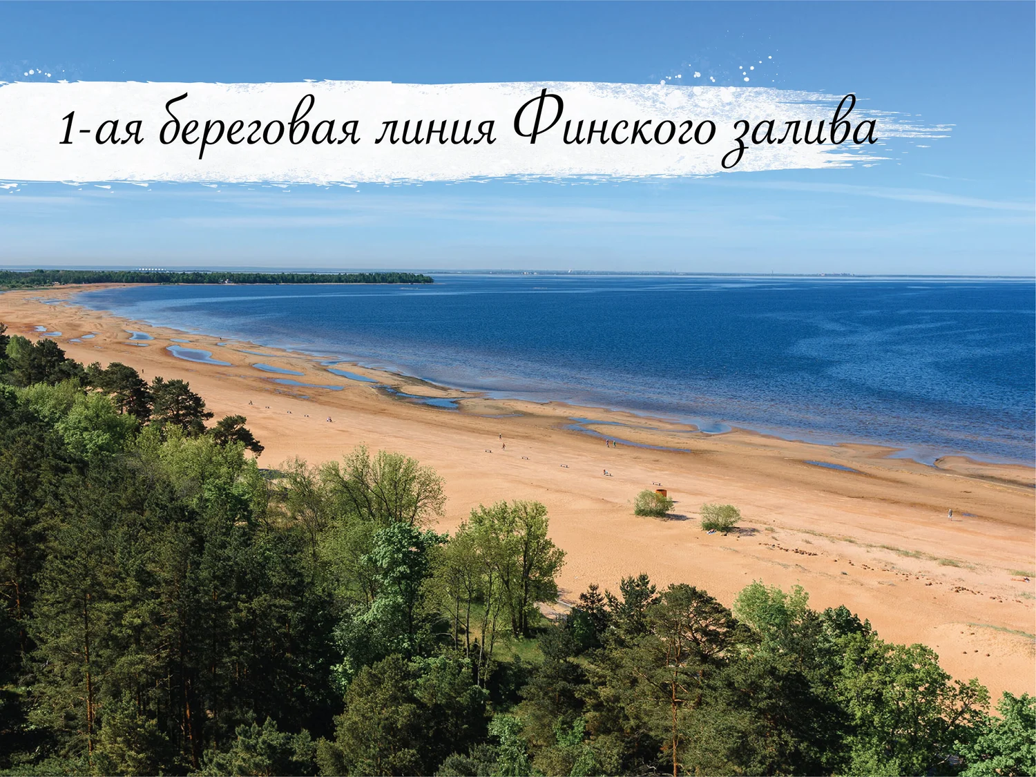Отдых на берегу Финского залива