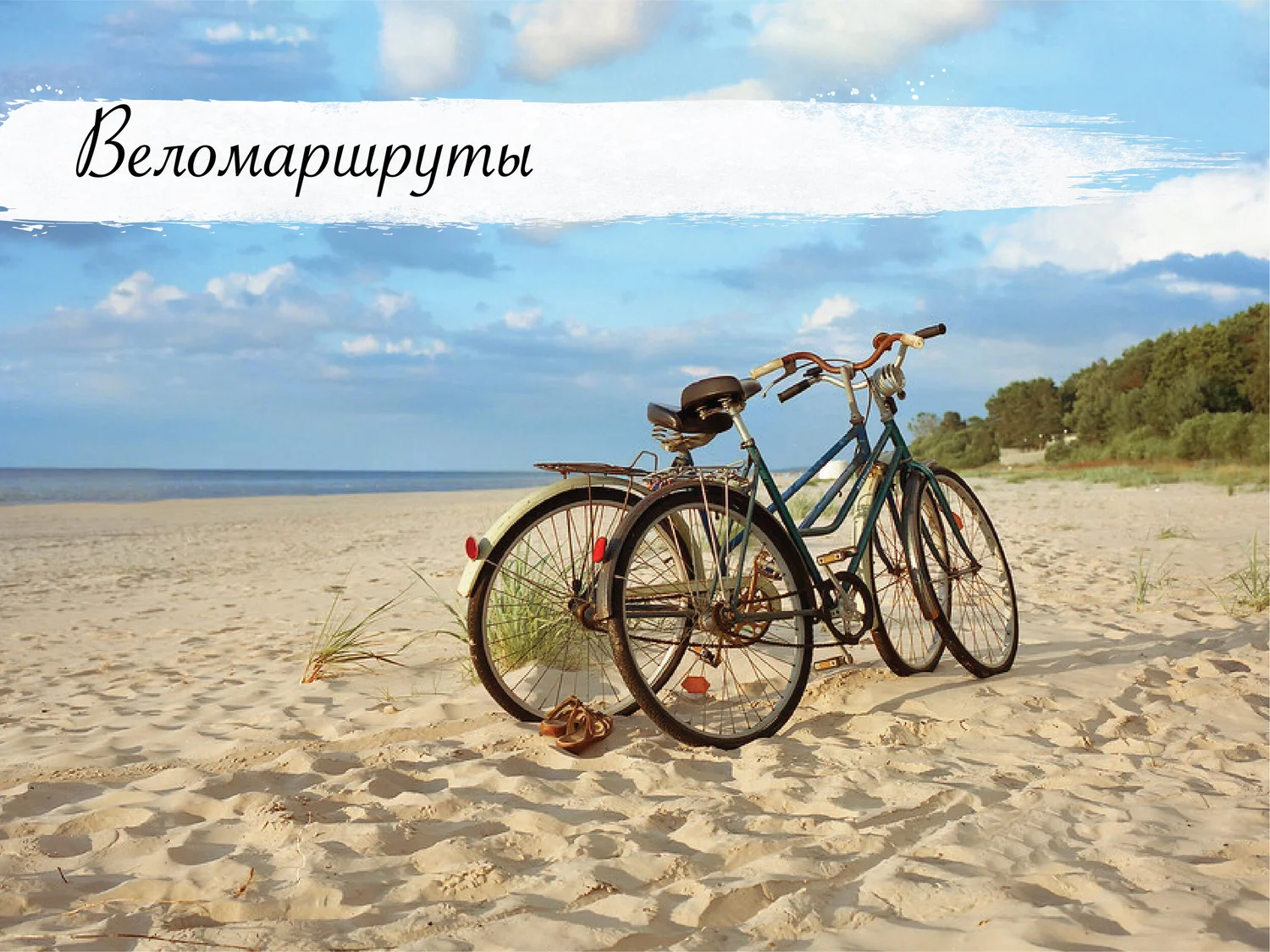 Прогулка по лесу
