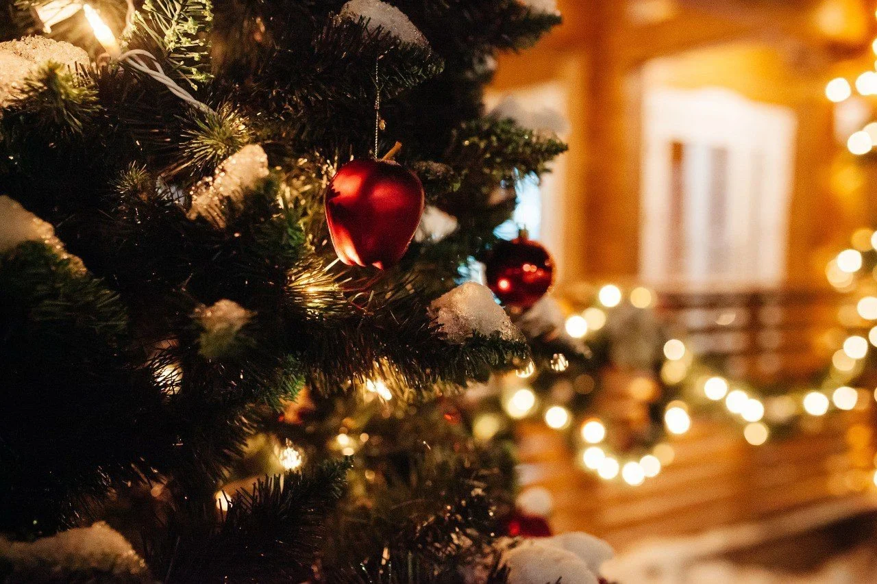 WhatsApp Image 2021-11-26 at 14.35.52.jpeg