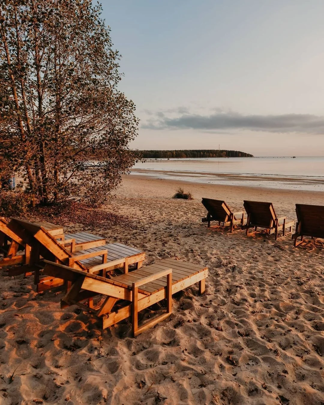 WhatsApp Image 2022-10-31 at 14.48.50.jpeg