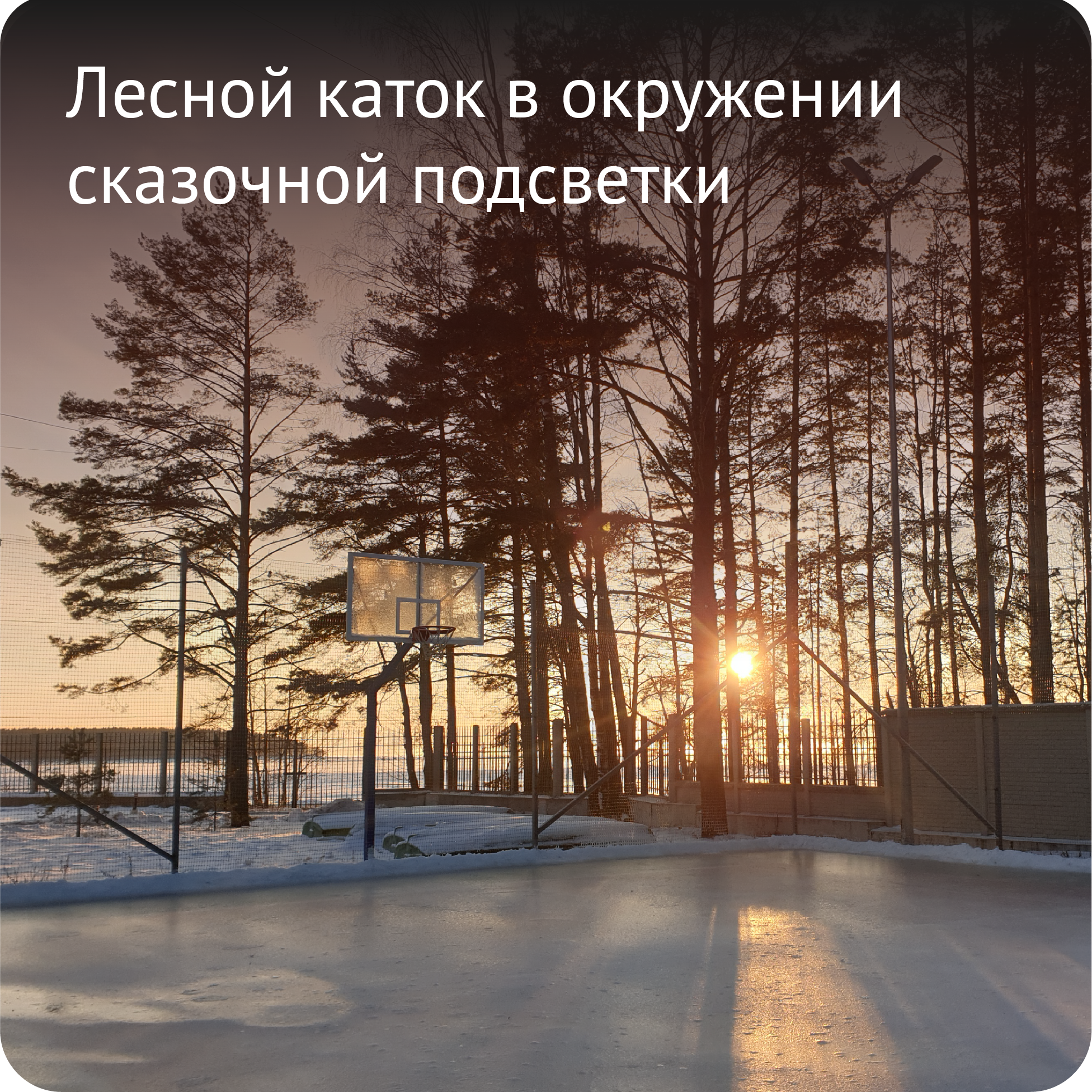 Плашки_НГ_2-02.png
