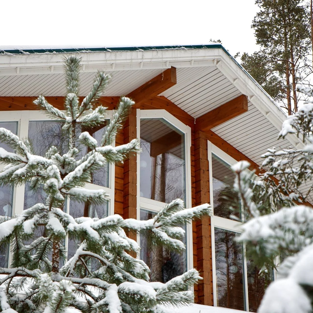 2025-01-15 10.37.58.jpg