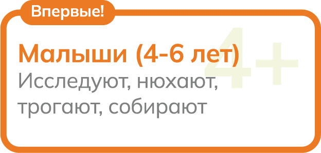 плашки лксные дикари-06.png