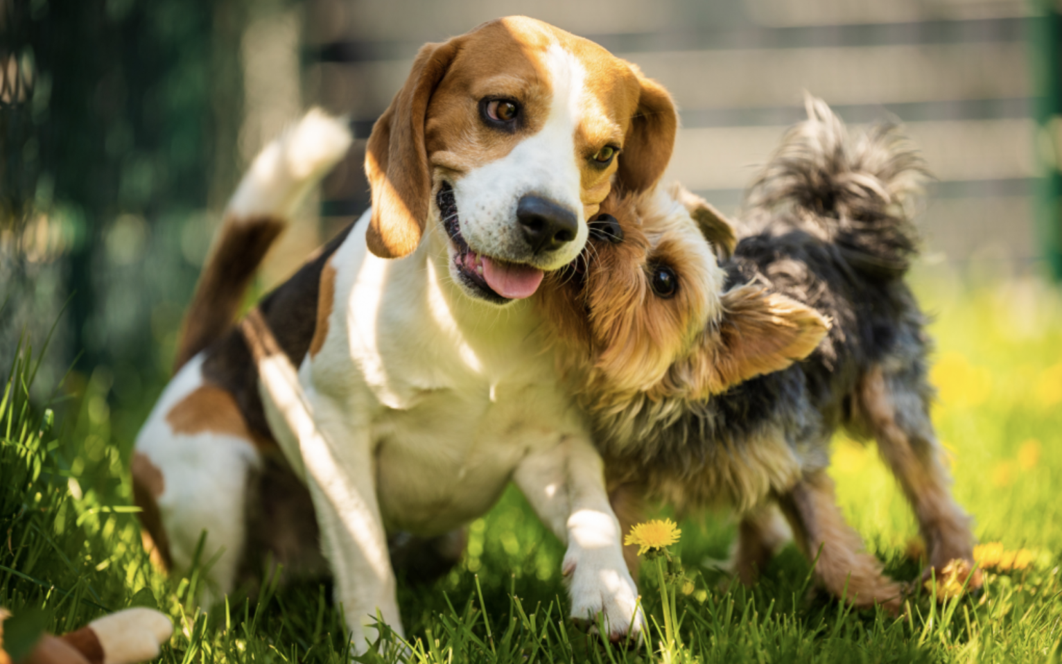 Снимок экрана 2026-03-13 в 16.27.13.png