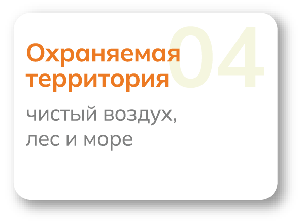 Фотография арт-лагеря