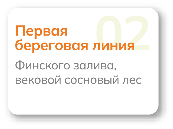 Фотография арт-лагеря