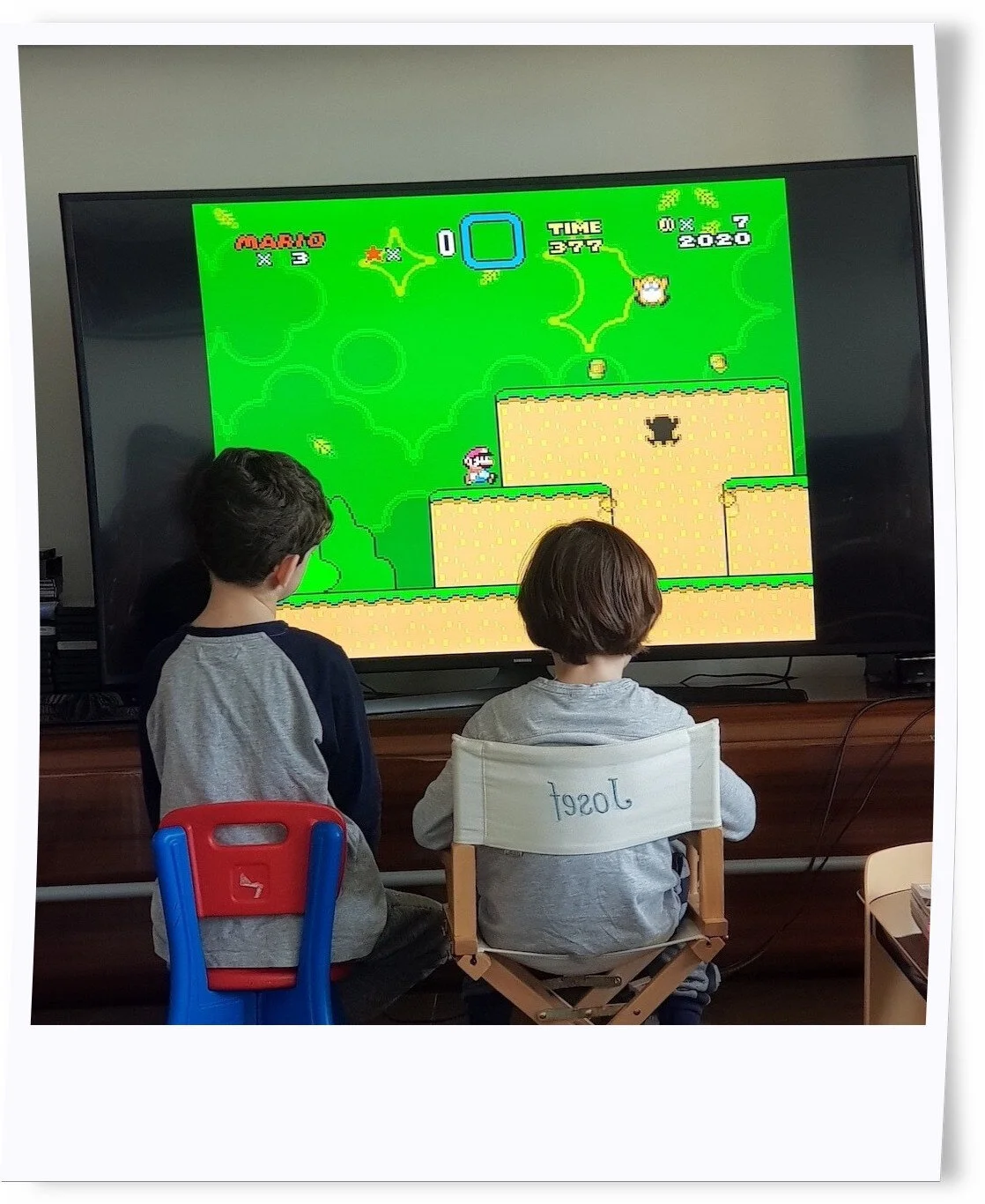 Moi, Josef M., 8 ans, confiné, oiseau blessé