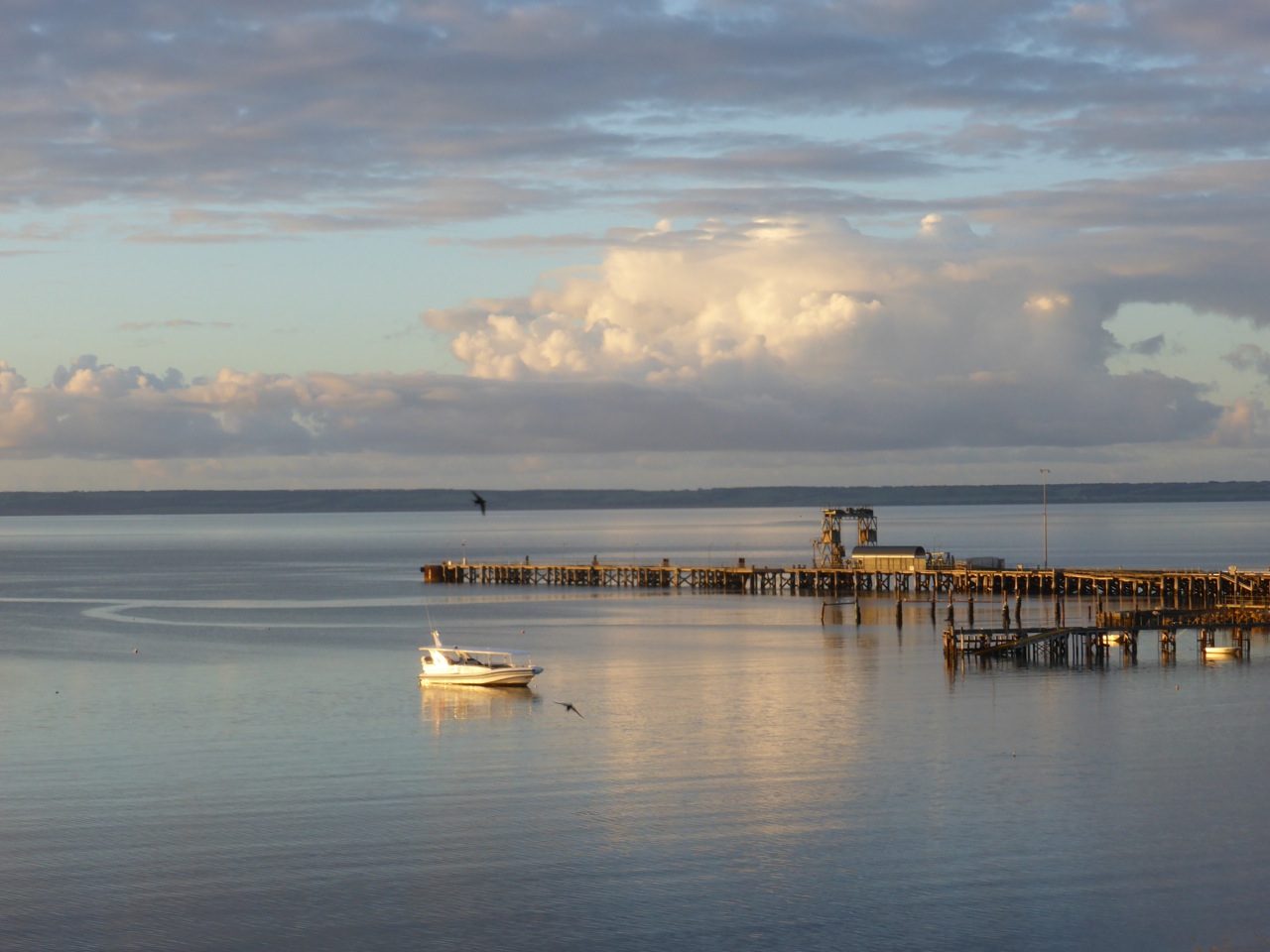 Kingscote jetty taken from the Esplanade early one morning