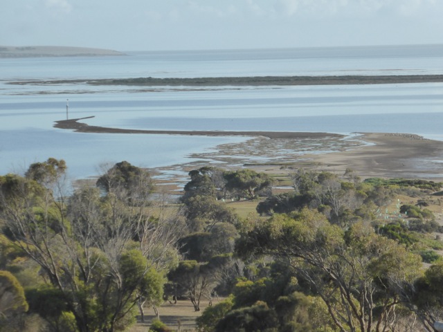 At low tide, masses of sea/shore birds gather on the spit at Reeves Point, visible from a bird hide
