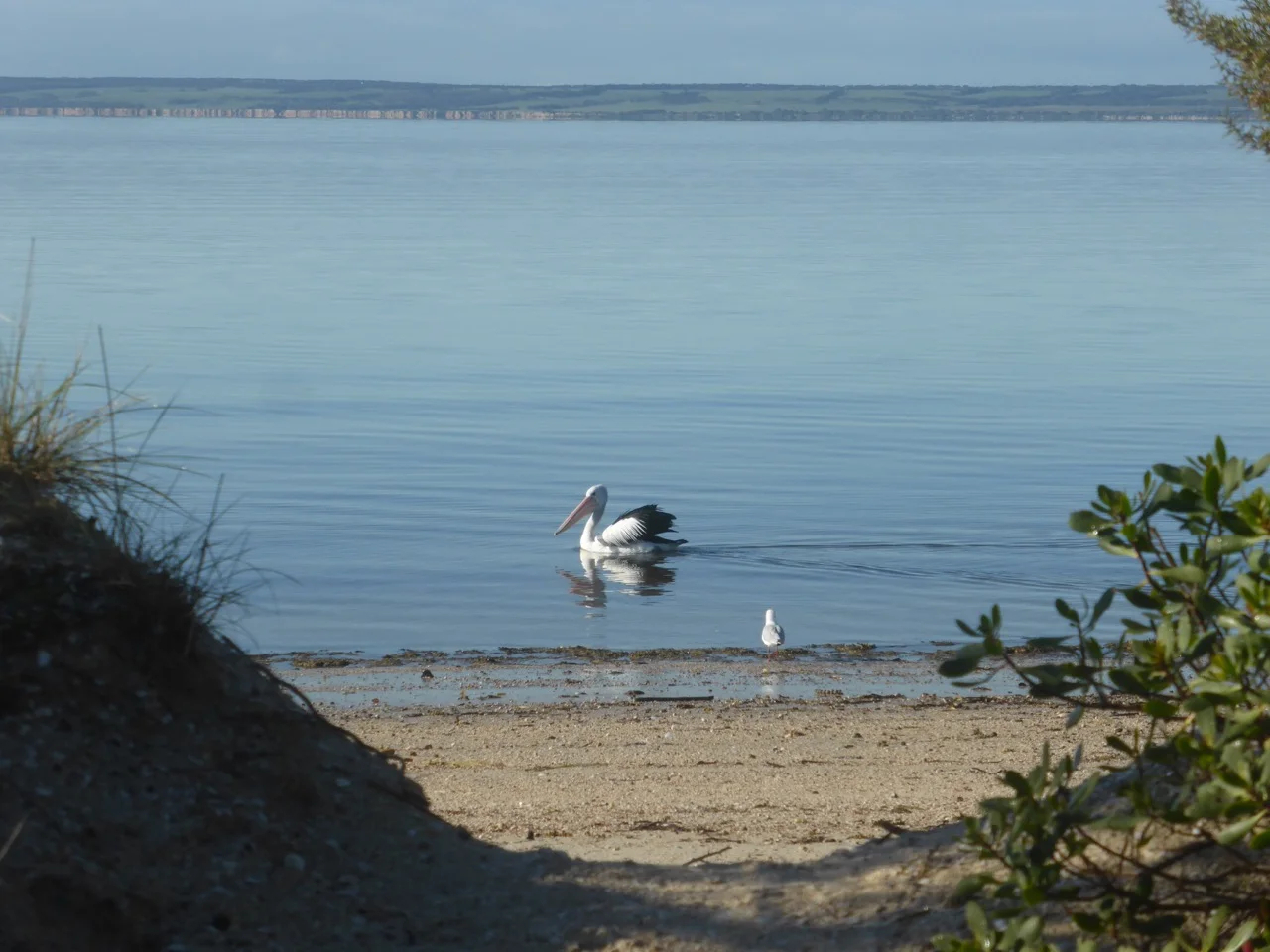 The beach is very very close
