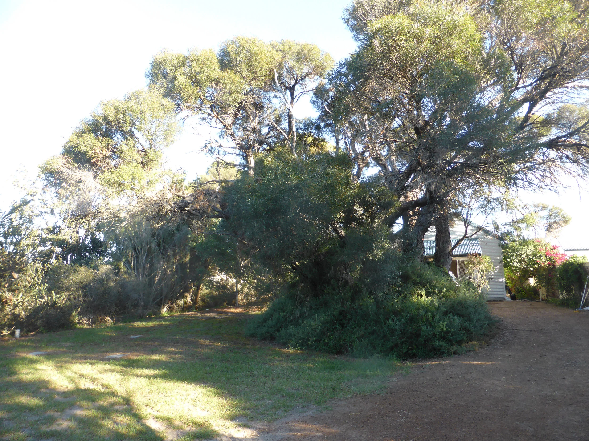 Plenty of space for kids to play