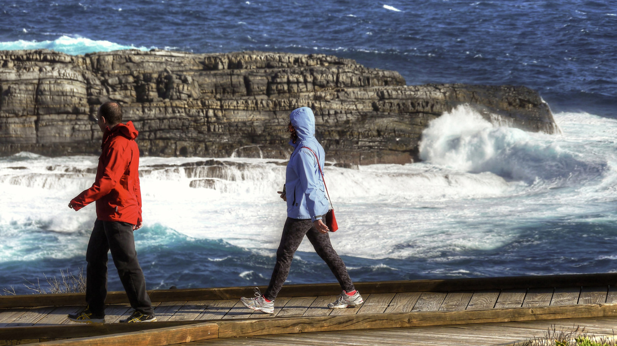 The Boardwalk at Cape du Coeudic and a sea lion colony are included in the Wilderness Trail