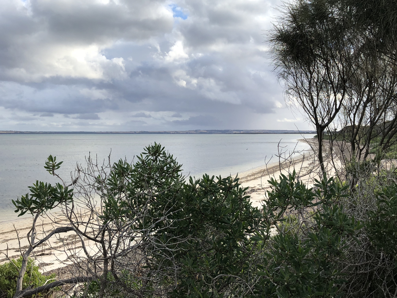 Beach walk 2.jpg