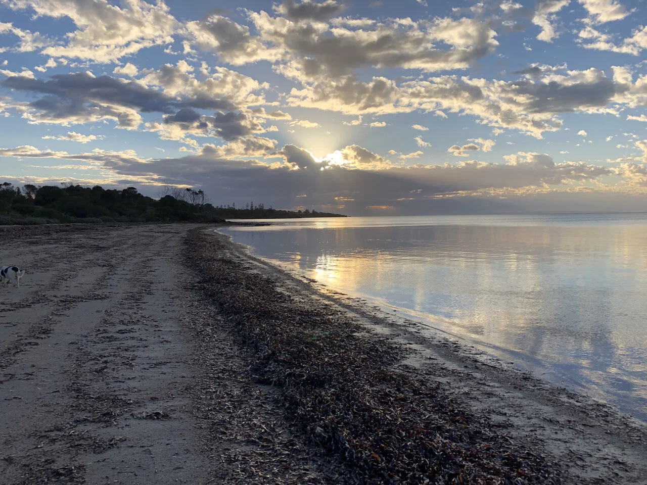 Quiet winter morning