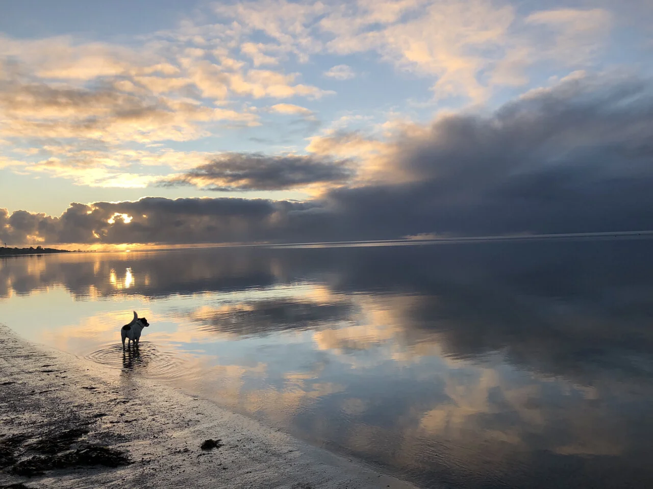 Calm sunrise at Brownlow Beach