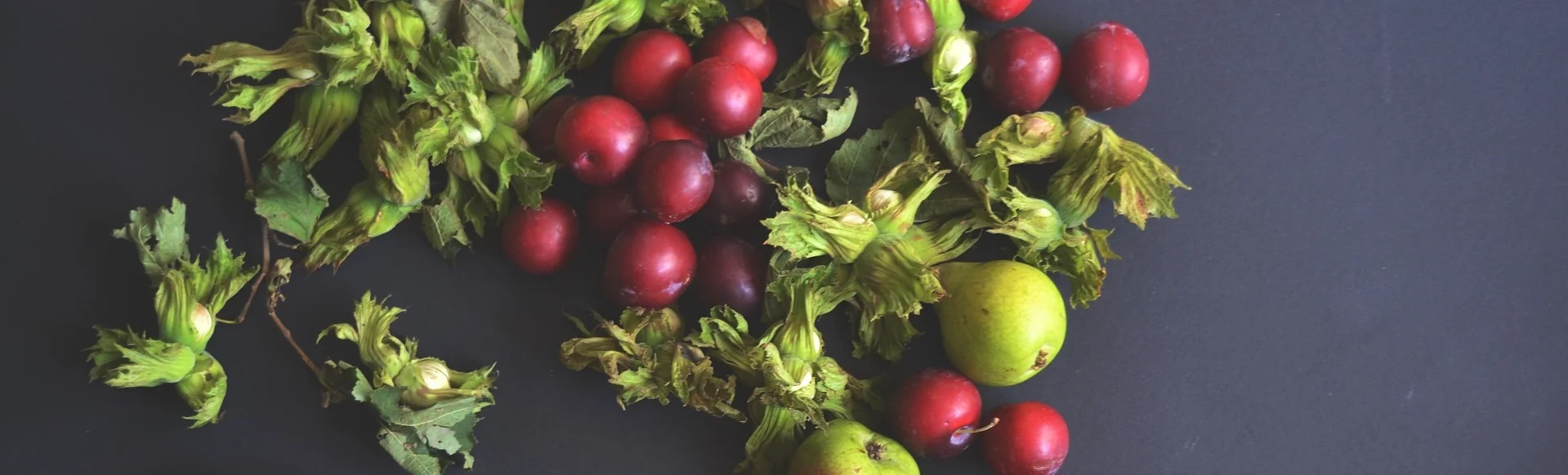 fruit-1031205_1920 (1).jpg