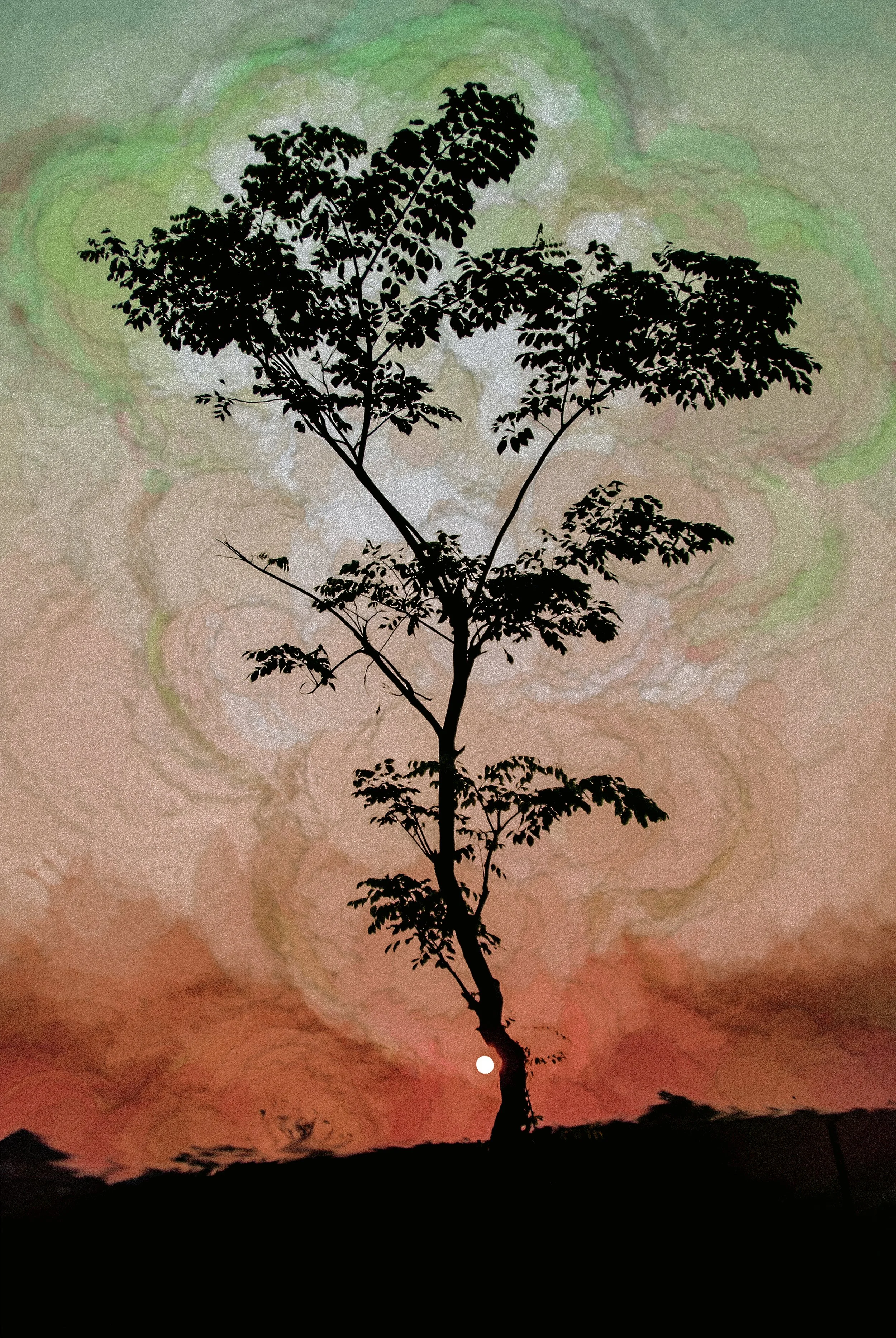 Sunset Softly (33,5x50 Hahnemüle bamboo) copy.jpg
