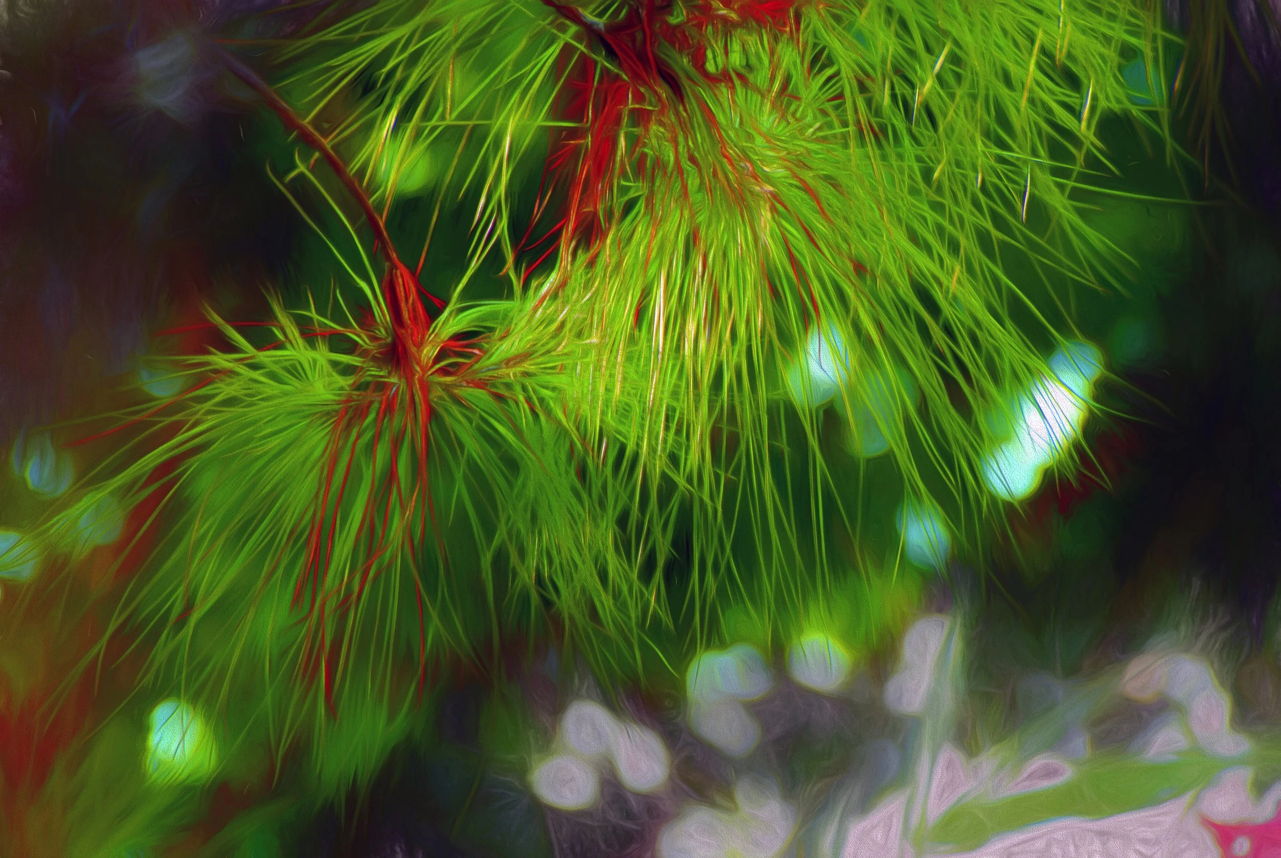 Grasses (50x33.5 Hahnemüle Photorag) copy.jpg