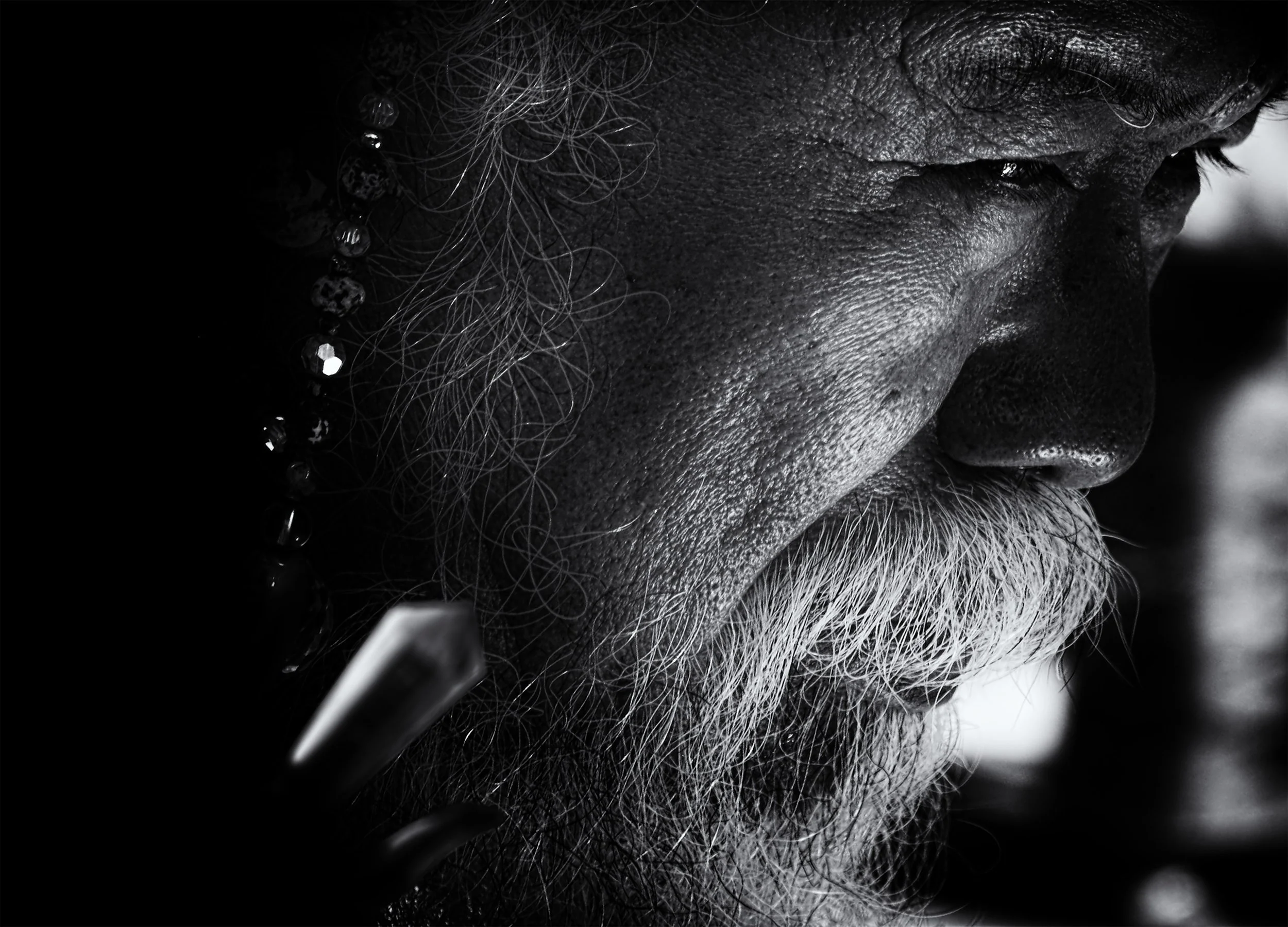 High Priest 1(50 x 36 cm).jpg