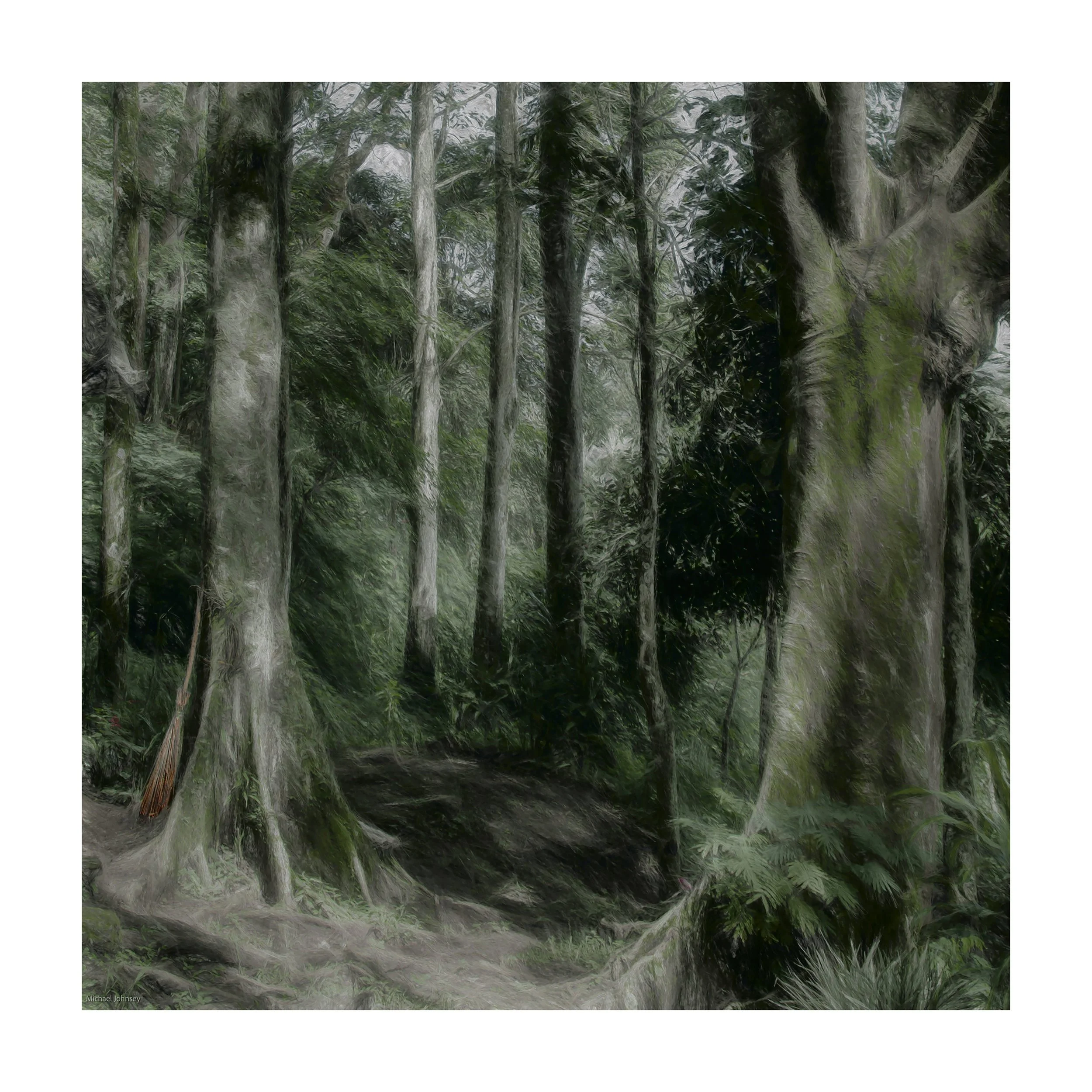 Broom-in-the-forest-II- Ilford Cotton Texeured-(50x50).jpg
