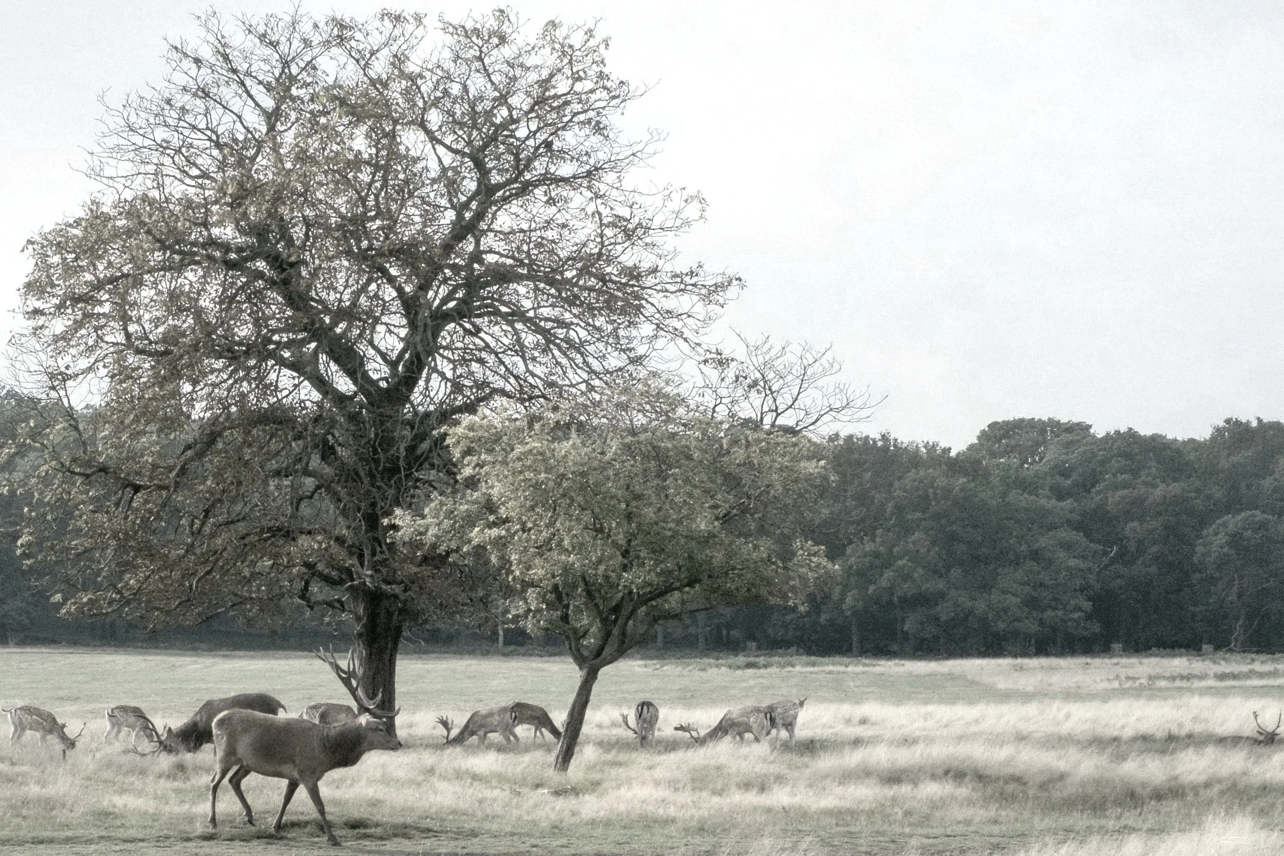 DSCF0767-Edit.jpg