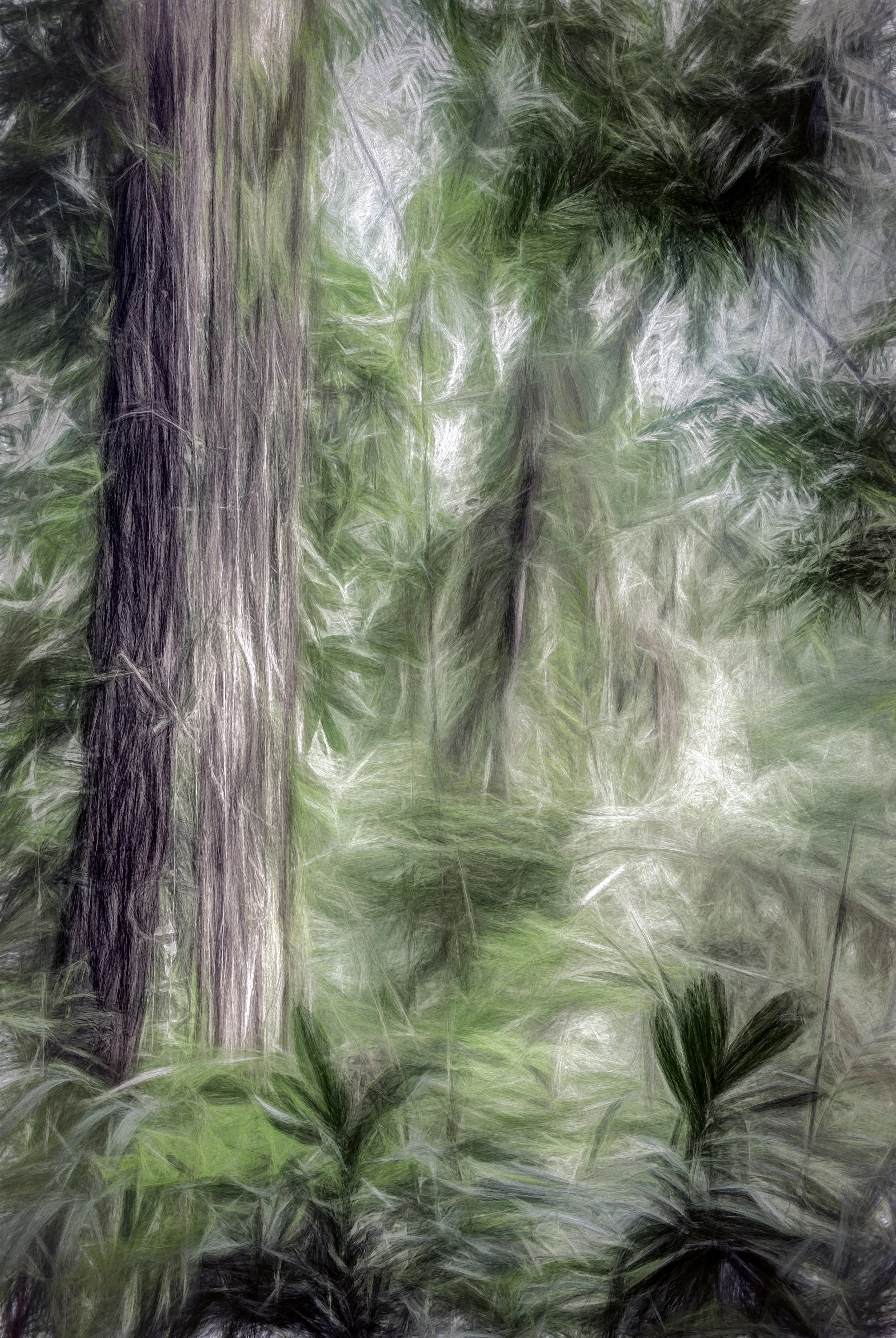 Forest in Java (33.5x50 Hahnemüle bamboo) copy.jpg