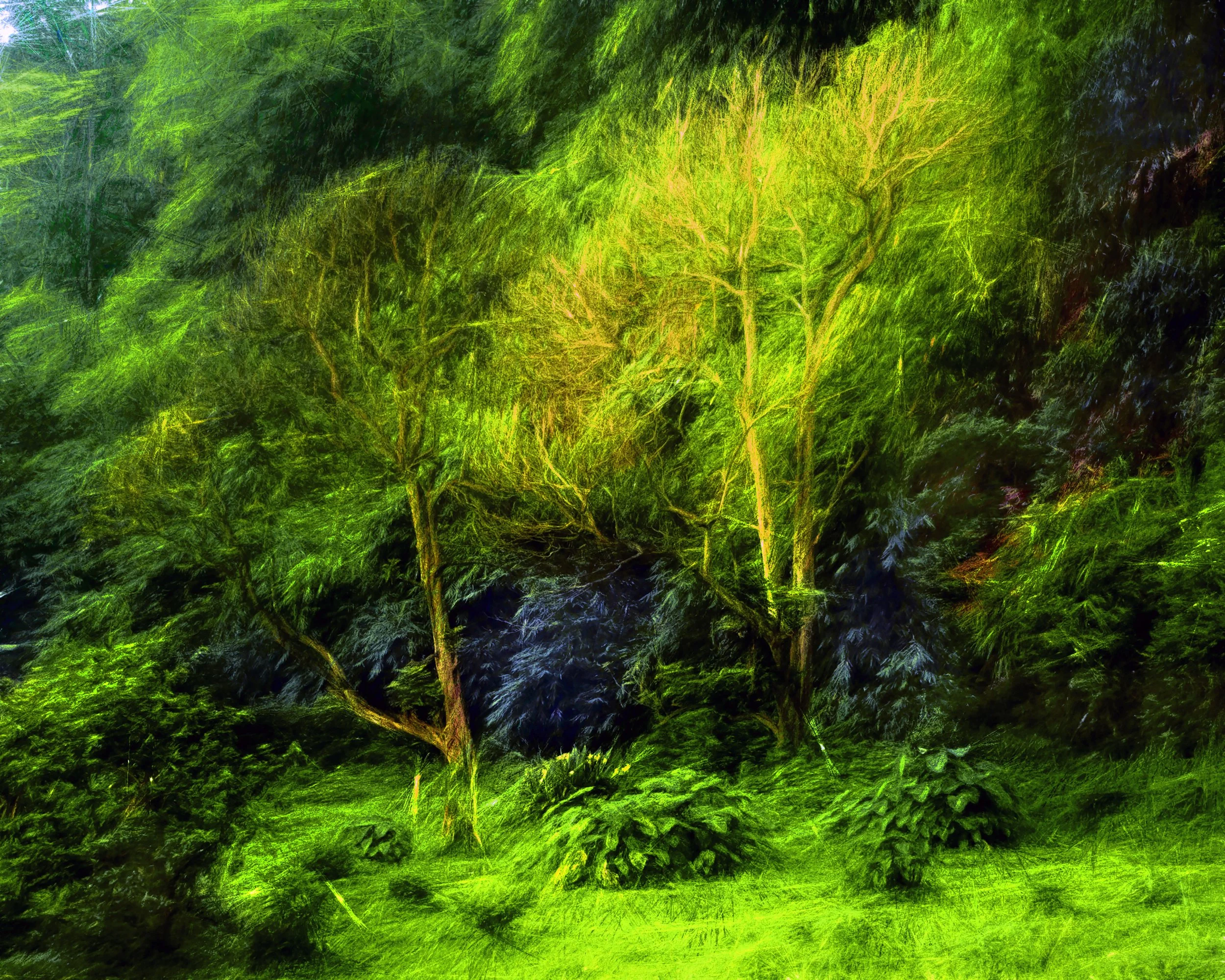 Enchanted Forest (50x40 Hahnemüle Photorag) copy.jpg