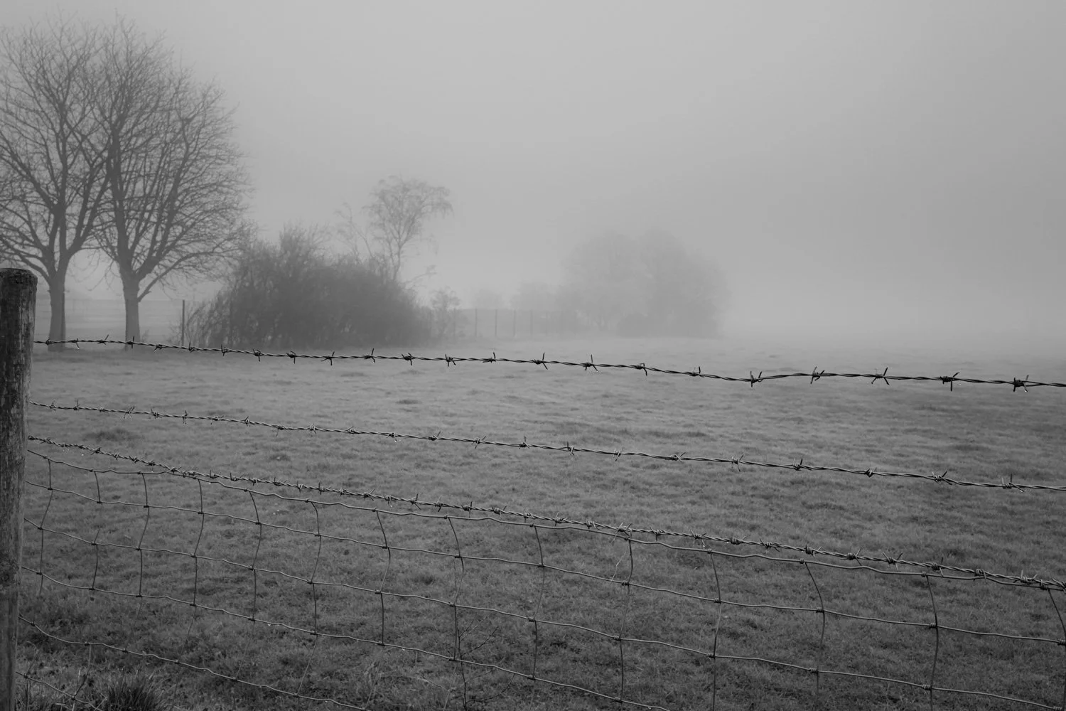 wivenhoe-windyrige-misty15.jpg